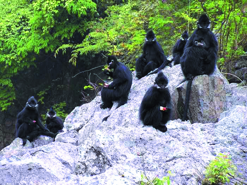 銅仁最美的10大景區(qū)：除了梵凈山之外，還有哪里值得一去？